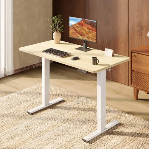 SANODESK One-Piece 48 x 24'' Electric Height Adjustable Standing Desk