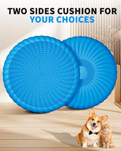 Wobble Cushion with Inflation Pump - Wiggle Seat Balance Disc