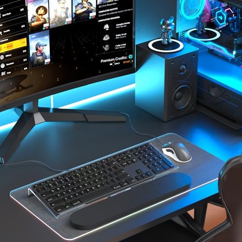 Richboom Ergonomic Computer Keyboard Stand - Tilt PC Keyboard Stand Riser for Easy Typing, Acrylic Keyboard Tray Holder for Office Desk, Home, School, with Silicone Anti-Slip Case, Clear