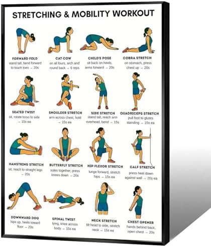 Stretching & Mobility Workout Poster, 16 Illustrated Full-Body Flexibility Chart with Hold Timing Guides, Bodyweight Daily Stretch Reference for Post-Workout Recovery & Joint Mobility Improvement(20x30inchs，Black Framed)