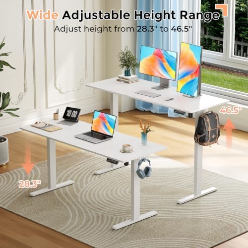 59"×24" Large Electric Standing Desk, Sit Stand Desk, White