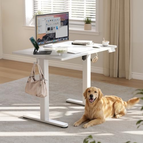 YDN 40 x 24 Inch White Electric Standing Desk