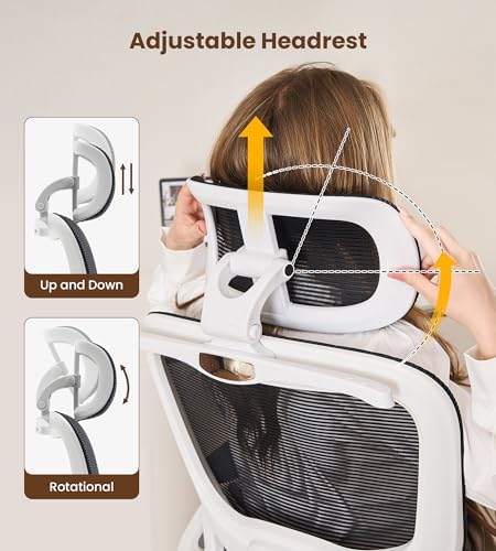 Ergonomic Office Chair, Executive Chairs with Adjustable Lumbar Support