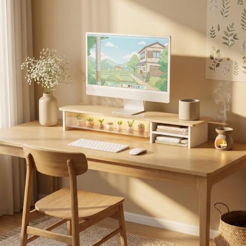 Fenge Monitor Stand with Acrylic Display Drawer for Figures & Collectibles