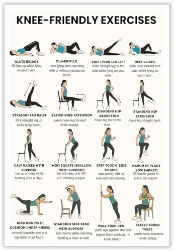 Knee-Friendly Low Impact Workout Poster, 16 Illustrated Joint-Safe Leg & Core Training Chart, Chair Supported Gentle Exercise Reference for Sensitive Knee Rehabilitation & Senior Home Fitness(24x36inchs，Unframed)