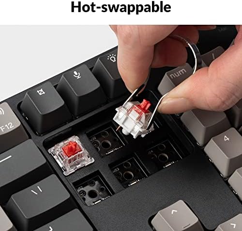 Keychron C2 Pro Wired Custom Mechanical Keyboard, Full-Size Hot-Swappable