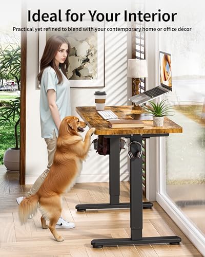 BIZUM Standing Desk Electric Adjustable Computer Desk-Stand up Desk Office Gaming Home Office Memory Desks 48x24 inches Black Frame/Rustic Brown Top