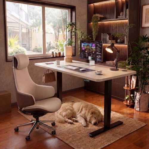 Furmax 55 Inches Electric Height Adjustable Standing Desk Home Office Desk