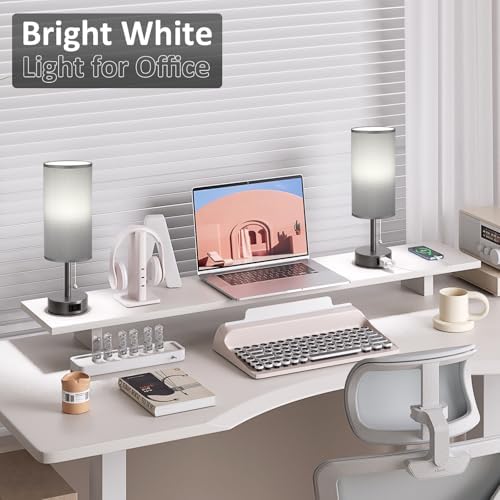 Dark Grey Bedside Table Lamps Set of 2 - Bedroom Lamp for Desk, AC Outlet