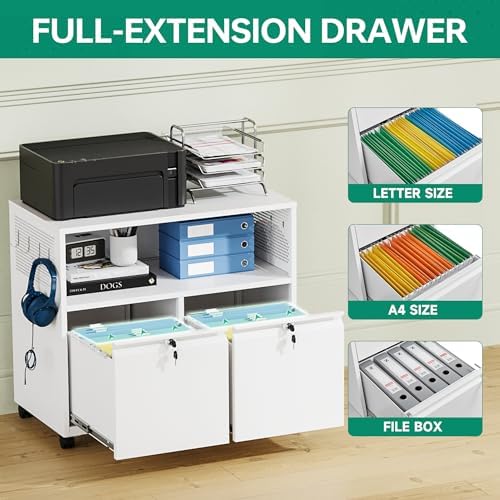 Letaya Mobile 2 Drawer File Cabinet with Lock, Metal Lateral Printer Stand Filing Storage Cabinets with Shelves for Home Office-A4/F4/Letter (White)