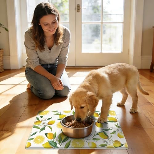 SHACOS Anti Fatigue Lemon Kitchen Mats for Floor Wipeable 17"x27.5", White