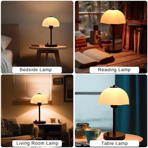 Glass Shade Table Lamp for Bedroom, Stepless Dimmable Bedside Lamps, Small Table with Premium Frosted Glass Shade, Desk Lamp Nightstand Lamp for Living Room, Bedroom, Office, Reading LED Bulb Included