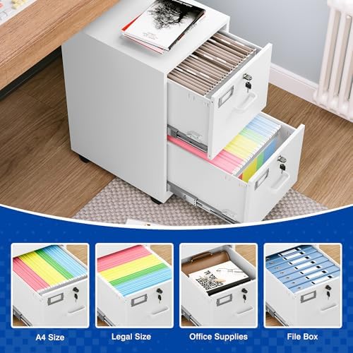 BYNSOE 2 Drawers File Cabinet with Lock Metal Vertical File Cabient with Wheels Mobile File Cabinet for Office Home Legal/Letter/a4 Size Require Assembly