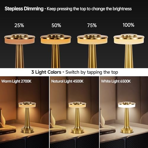 Cordless Table Lamp, Portable LED Desk Lamp, Table Sensor Control Beside Lamps, Kids Night Light with Stepless Dimming & Charging Completed Tip Light & 3 Colors Changing