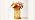 5-in-1 LED Crystal Night Light Wooden Base Makeup Brush Holder Pen Cup