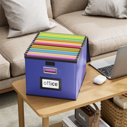 File Organizer Box with Lids, Collapsible File Folder Organizer