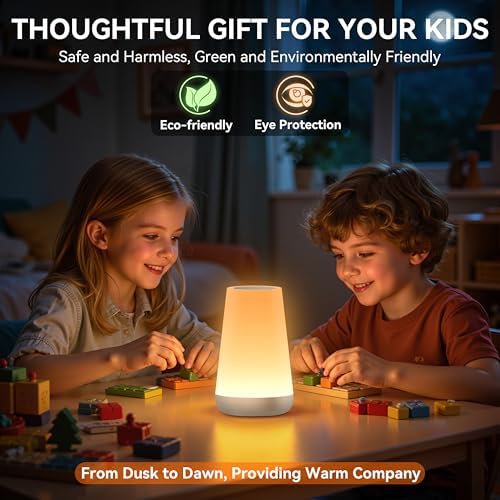 Auxmir Rechargeable Night Light, Touch Table Lamp with Remote, Silver
