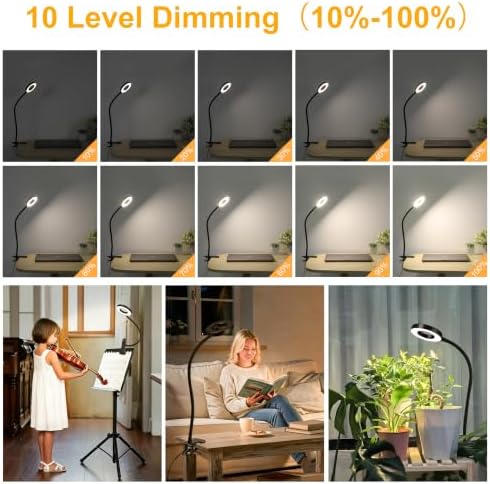 Eye-Caring Clip On Desk Lamp, 3 Modes 10 Dimming Levels, Black