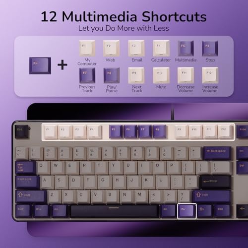 RK ROYAL KLUDGE RK920 Full Size Mechanical Keyboard Wired, RGB Backlit