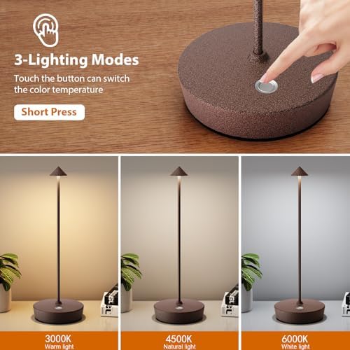 2Pack Rechargeable Cordless Table Lamp, Portable Powered LED Battery 6000mAh Metal USB Desk Lamp, 3 Levels Brightness Light for Restaurants Outdoor (2pack ferruginous)