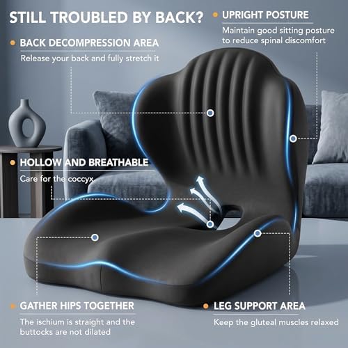 Ergonomic Seat Cushion with Lumbar Support（Black）