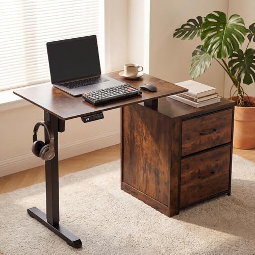 Small Electric Standing Desk with Storage, 48 x 18" Sit Stand Desk Workstation with Smooth Motorized Lift, 28.3"-46.5"Height Adjustable Computer Table, 3 Memory Preset, Cable Management, Rustic Brown