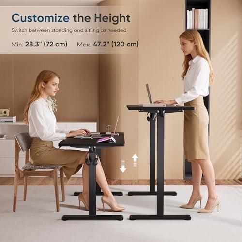 Monomi 48" x24“ Electric Height Adjustable Standing Desk,Black