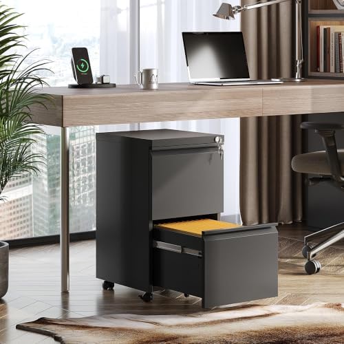 DEVAISE 2 Drawer Mobile File Cabinet, Fully Assembled