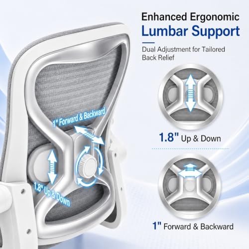 Ergonomic Home Office Chair, 4-Way Lumbar, Thick Cushion, 330LBS (Gray/Finish Silver)