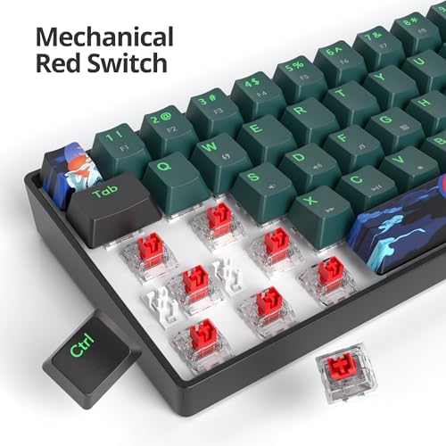 Owpkeenthy 60% Wired Mechanical Keyboard