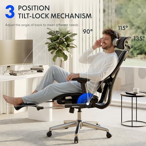 FLEXISPOT ErgoX Premium Ergonomic Office Chair Black FM-FT