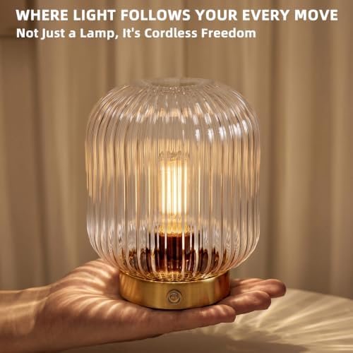 MJ PREMIER Rechargeable Table Lamp,Cordless Lamp with Memory Function,Clear