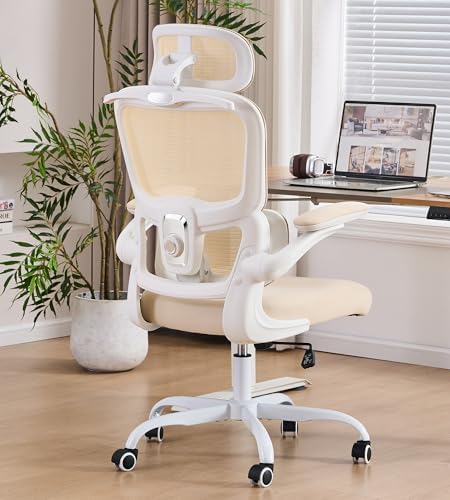 Ergonomic Office Chair, Executive Chairs with Adjustable Lumbar Support