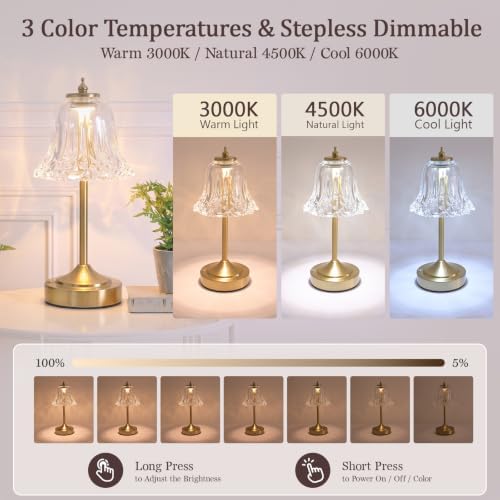 Cordless Table Lamp, Rechargeable Clear Glass Tulip Flower Touch Lamp