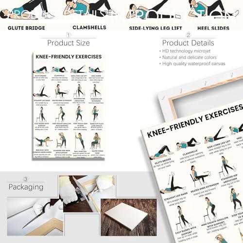 Knee-Friendly Low Impact Workout Poster, 16 Illustrated Joint-Safe Leg & Core Training Chart, Chair Supported Gentle Exercise Reference for Sensitive Knee Rehabilitation & Senior Home Fitness(16x24inchs，Wrapped Framed)