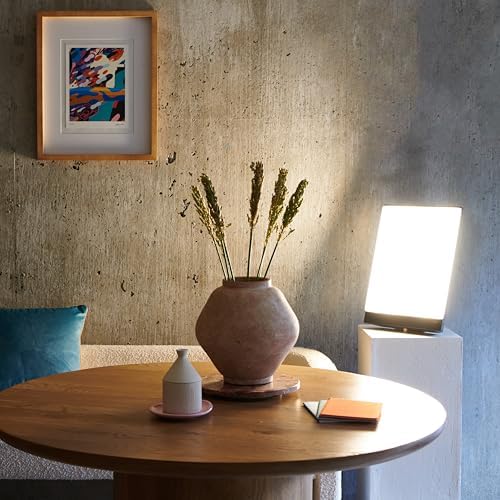 Northern Light Technologies Boxelite - 10000 Lux Light Therapy Lamp - Full Spectrum Lightbox Therapy Light for Natural Mood and Energy Enhancement, Sunlight Desk Lamp, Black