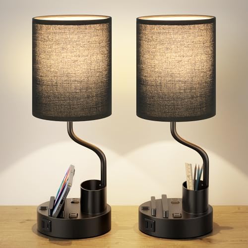 Fenmzee Bedside Lamps for Bedroom Set of 2 - Table Desk Lamp for Nightstand