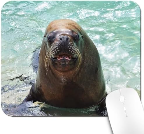 9.5x7.9 Inch Office/Gaming Mouse Pad, Funny Sea Lion Cute Anti-Slip Mat for Desk