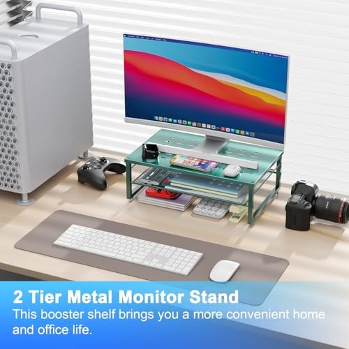 gianotter 2-Tier Metal Monitor Stand Riser