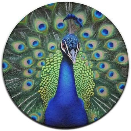 Machine Washable Modern Round Area Rug, Room Sofa Yoga Soft Round Carpet, Home Decor Non Slip Kitchen Office Circle Rug Peacock Feather, 60inch