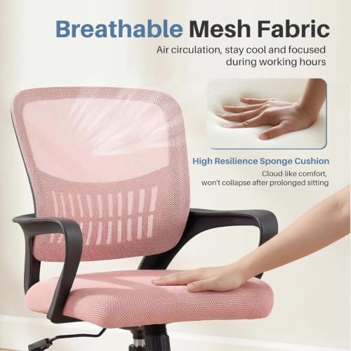 DUMOS Ergonomic Home Office Chair, Lumbar Support Desk Chair