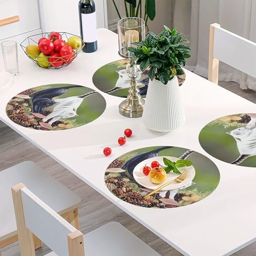 Round Placemats Cat Stretching Non-Slip Stain Heat Resistant Place Mats Washable Table Mats for Kitchen Dining Table Decor, Easy to Clean, Set of 6