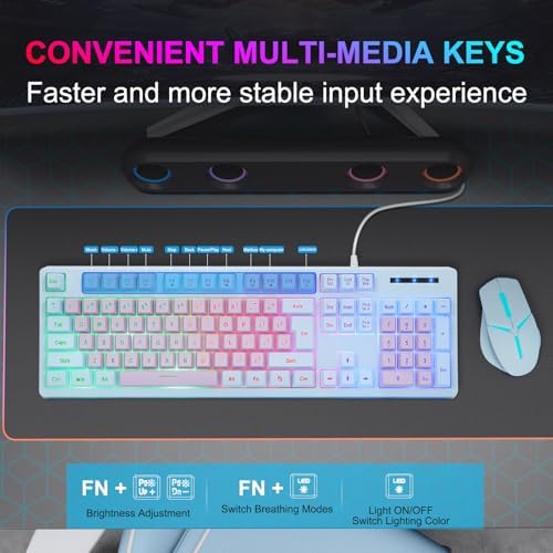 HUO JI Wired Gaming Keyboard with Rainbow LED Backlit, Purple Blue