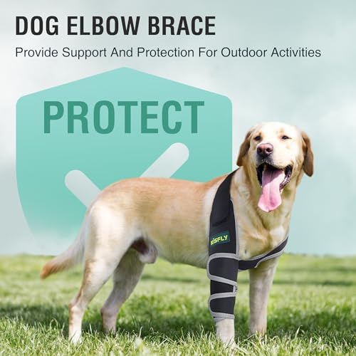 Dog Elbow Brace for Large Dogs, Left Front Leg Callus Protection