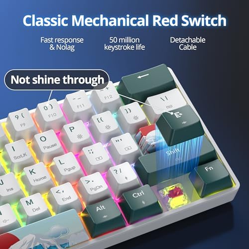 surmen Wireless Keyboard 60% Gaming Keyboard 60 Percent, Hot Swappable RGB Mini Bluetooth BT5.0/USB-C Mechanical Keyboard with Software for Windows Mac Laptop (Gateron Red, Green 61)