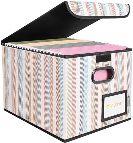 BALEINE File Organizer Box with Lid, Collapsible Hanging File Storage Box