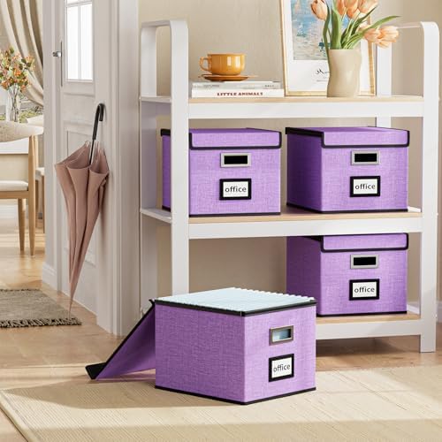 File Organizer Box with Lids, Collapsible File Folder Organizer