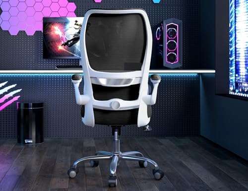 TRALT High Back Office Chair, Ergonomic Desk Chair