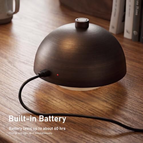 Cordless Modern Desk Lamp, Rechargeable Battery, Brown Bronze