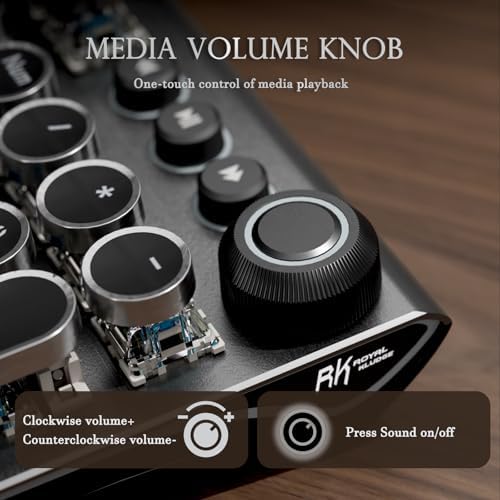RK ROYAL KLUDGE X108 Typewriter Keyboard with Knob, Wired Mechanical Gaming Keyboard, 108 Keys RGB Backlit Sidelight, Detachable Wrist Rest, Retro Round Keycaps Blue Switches - Shadow Black